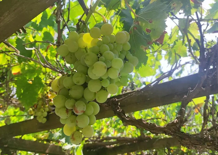 Ingrid Mary Διαμέρισμα Νιμ